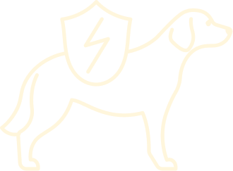 Sustained Energy Pack Provisions Icon