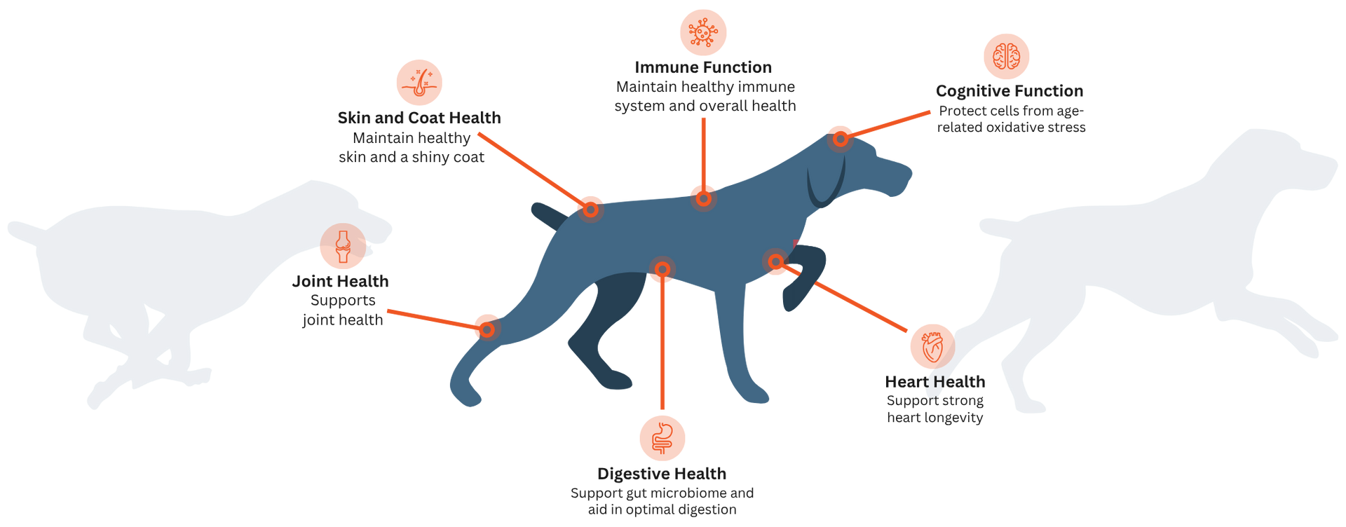 Field & Stream Pack Provisions Fuel for Whole-Body Health & Vitality