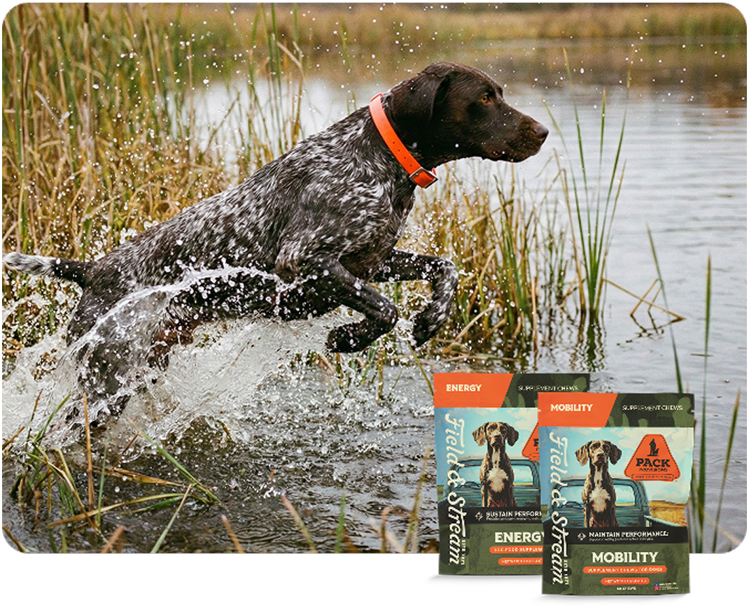 Perform - Pack Provisions energy and mobility supplements