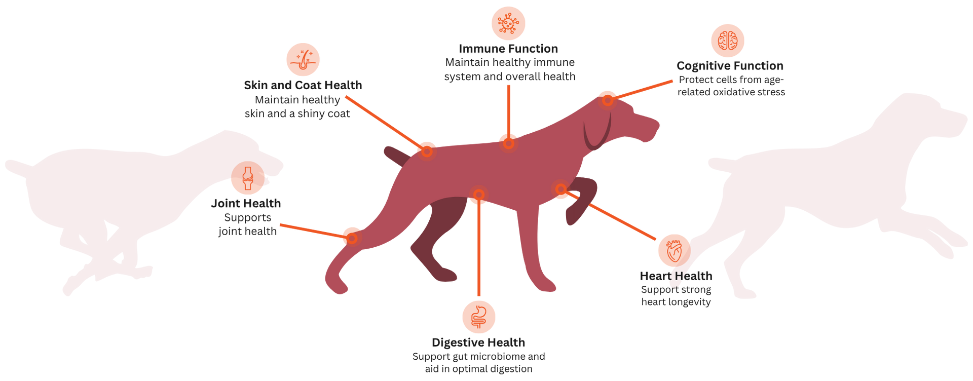 Field & Stream Pack Provisions Fuel for Whole-Body Health & Vitality