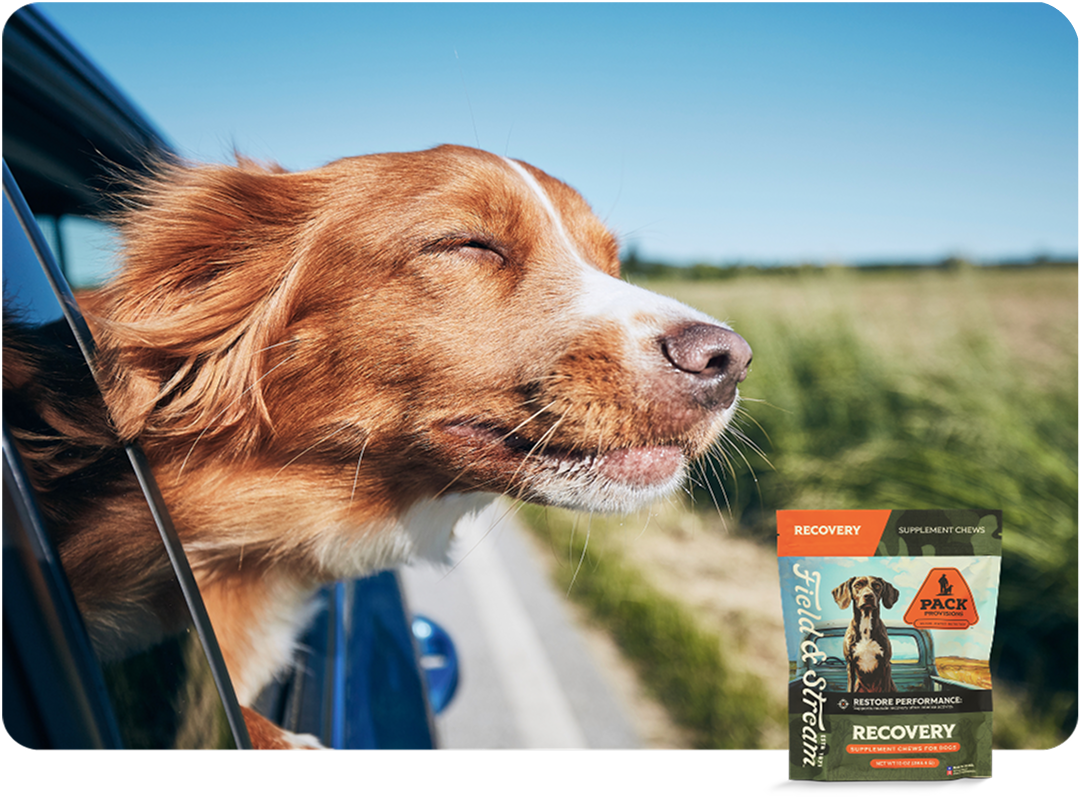 Renew - Pack Provisions recovery supplements