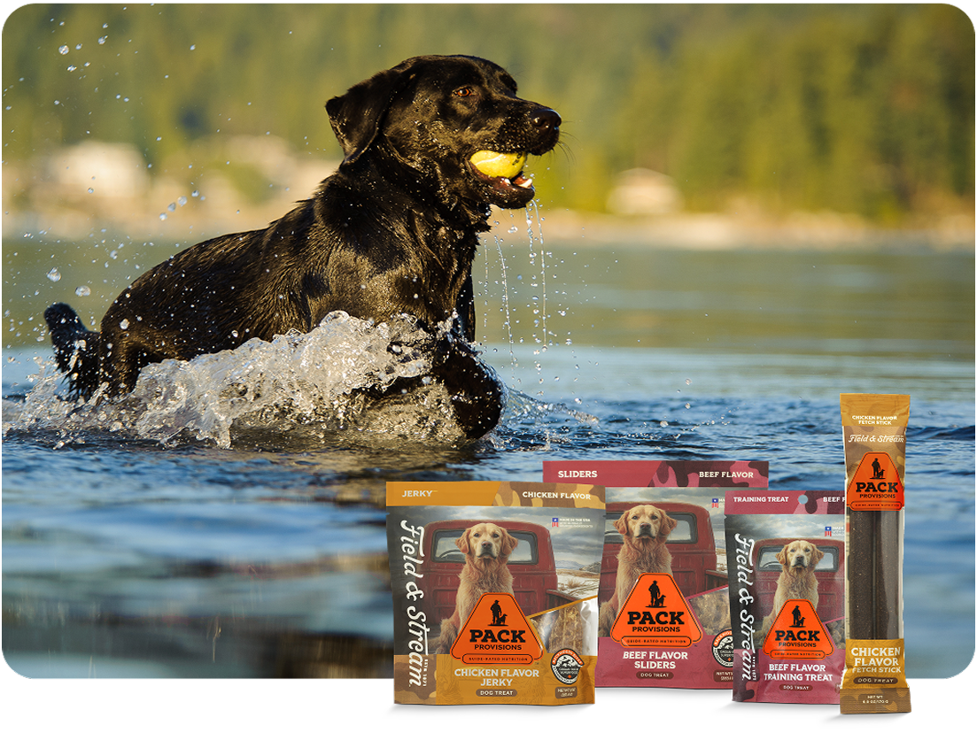 Reward - Pack Provisions snacks & training treats