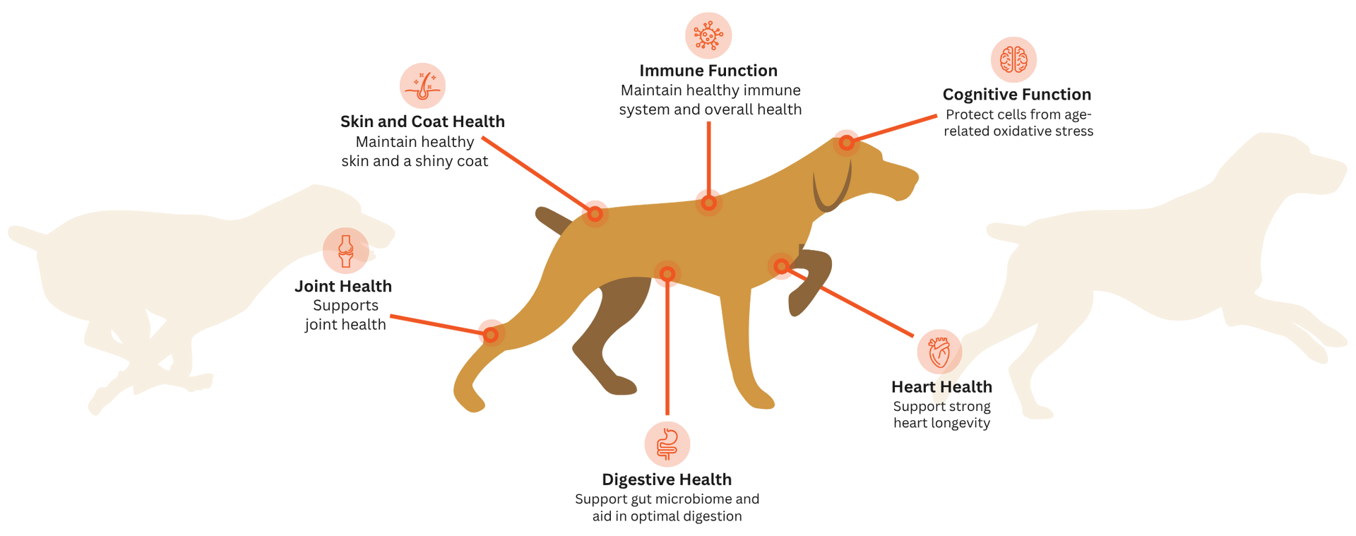 Field & Stream Pack Provisions Fuel for Whole-Body Health & Vitality
