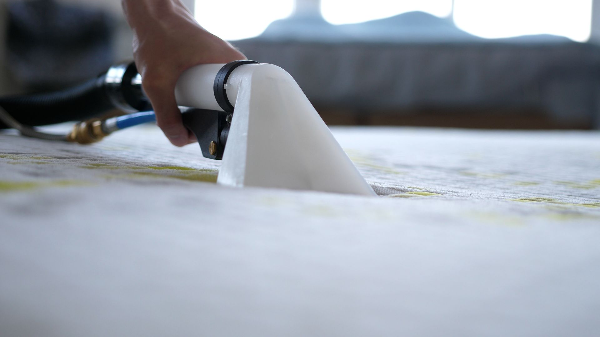 Person cleaning a carpet with a white upholstery cleaner tool.