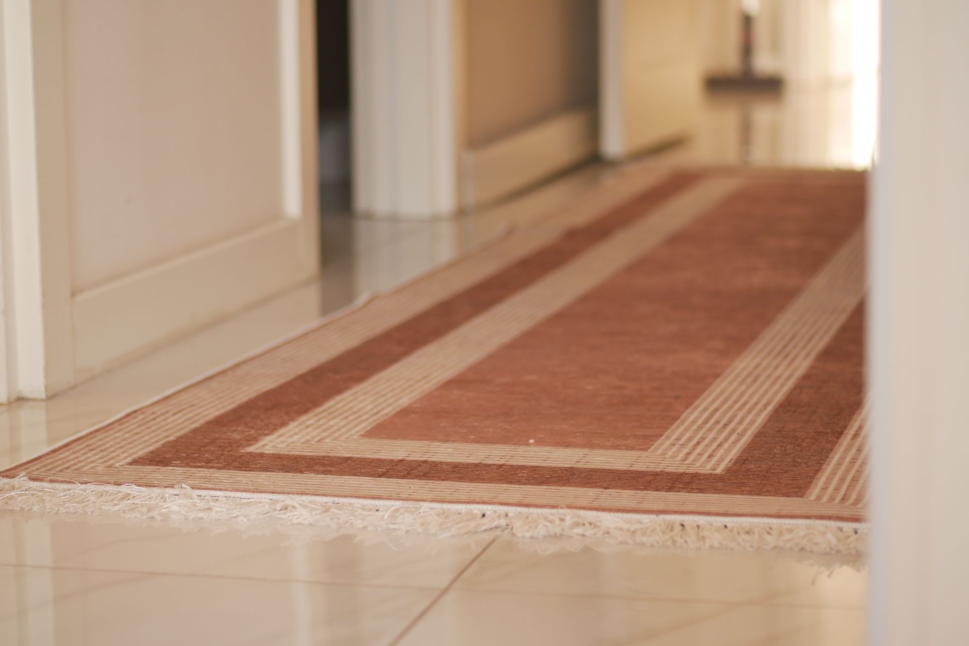 Brown hallway runner rug in an interior doorway.