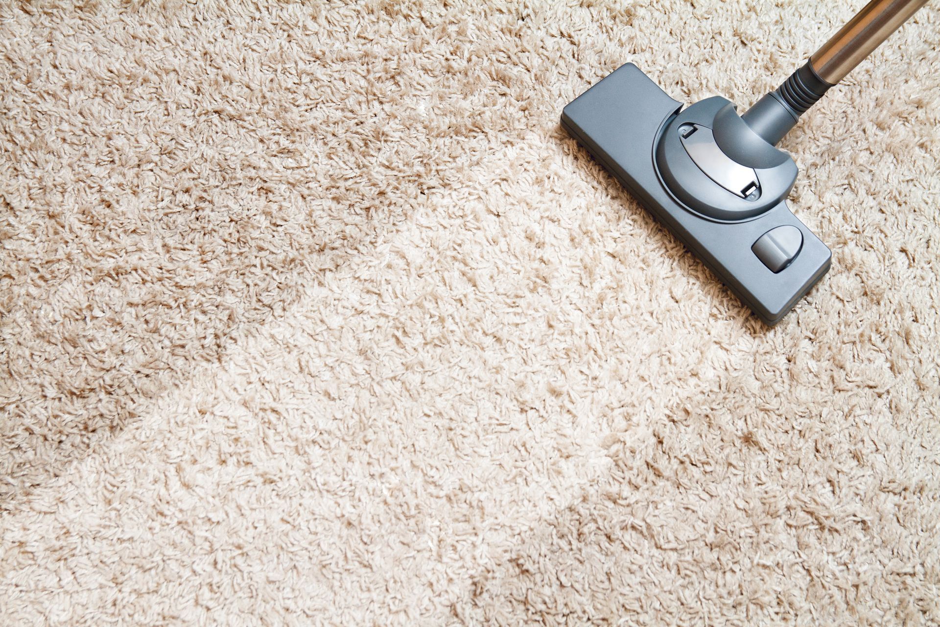 Vacuum cleaner cleaning a beige shag carpet, showing a clean path.