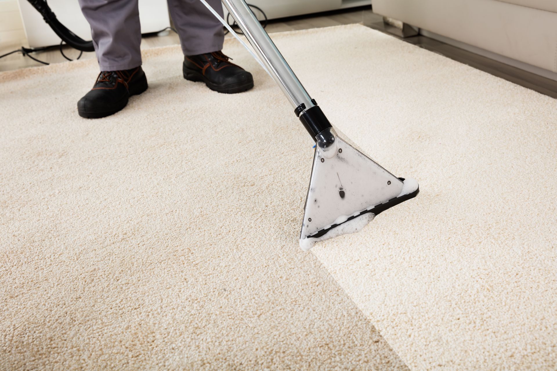 Person cleaning a cream-colored carpet with a vacuum cleaner; the cleaned area is lighter.