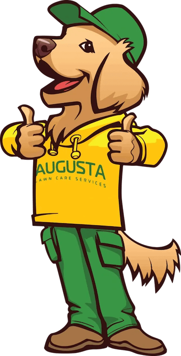 Mascot Max wearing a green hat and yellow hoodie, thumbs up.