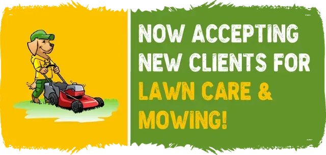 service promo banner