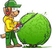 Augusta Lawn Care Mascot Trimming Bushes