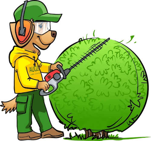 Augusta Lawn Care Mascot Trimming Bushes