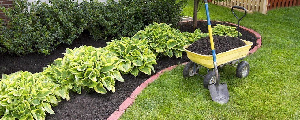 A yellow wheelbarrow filled with dirt and a shovel in a garden.