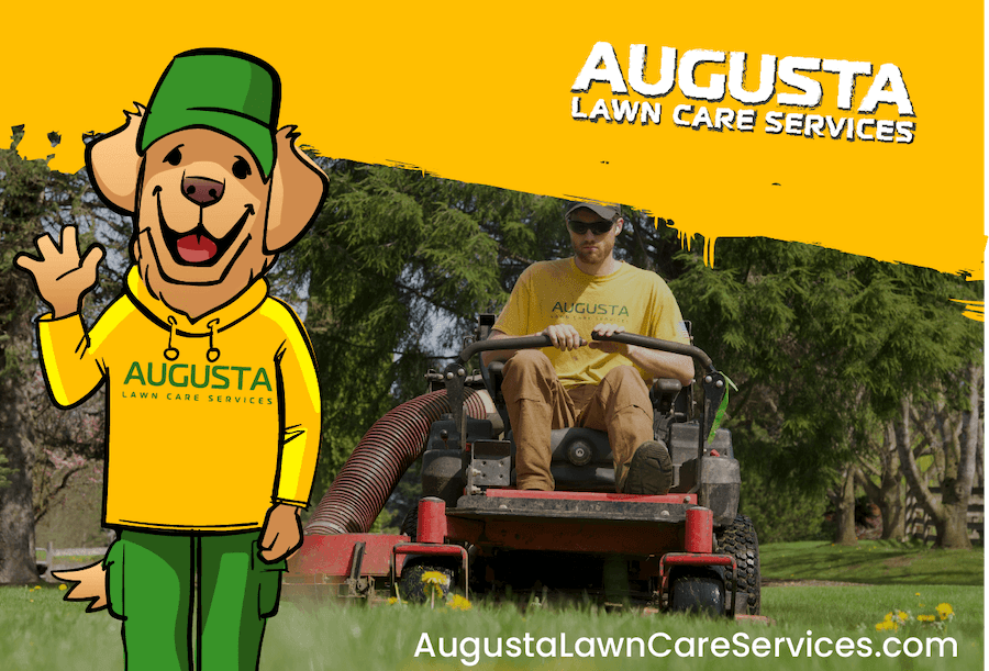 Augusta Lawn Care and Landscape Maintenance