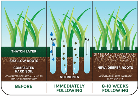 A diagram of a lawn before and after being fertilized