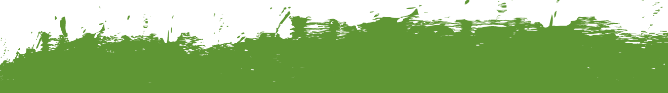 Yellow Separator Graphic