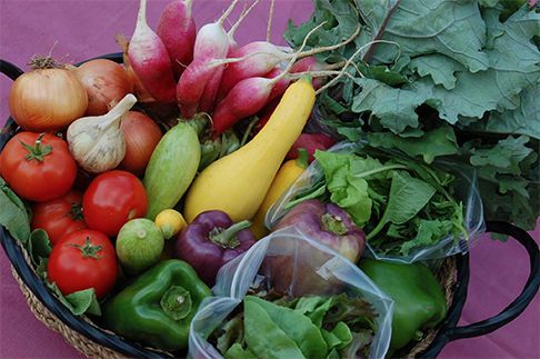 a basket of vegetables