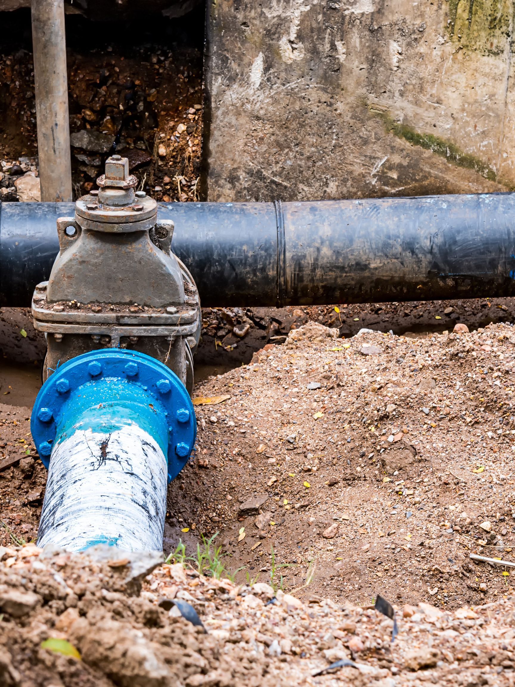 Hamilton Sewer Cleaning Services