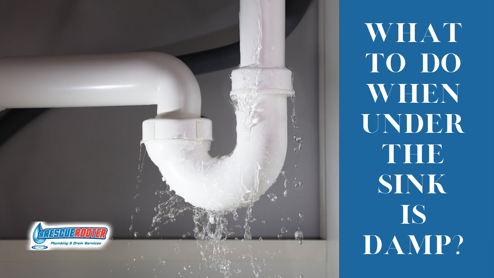 what to do when under the sink is damp