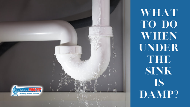 What to Do When Under the Sink is Damp?
