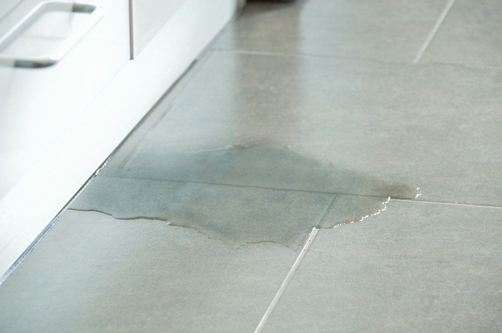 Flooded Floor In Kitchen From Water Leak — Plumbing in Casino, NSW