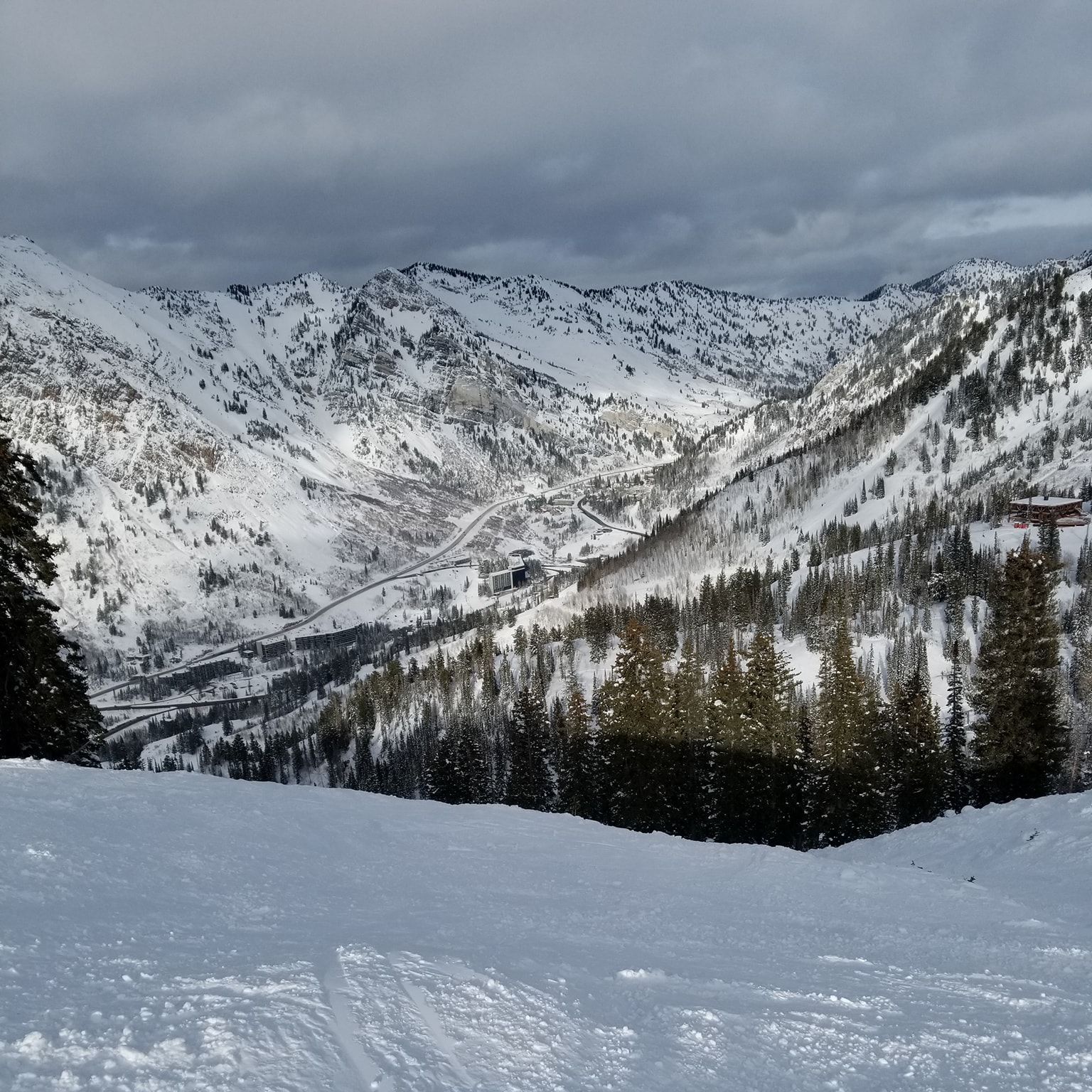 A snowy landscape with mountains and trees covered in snow