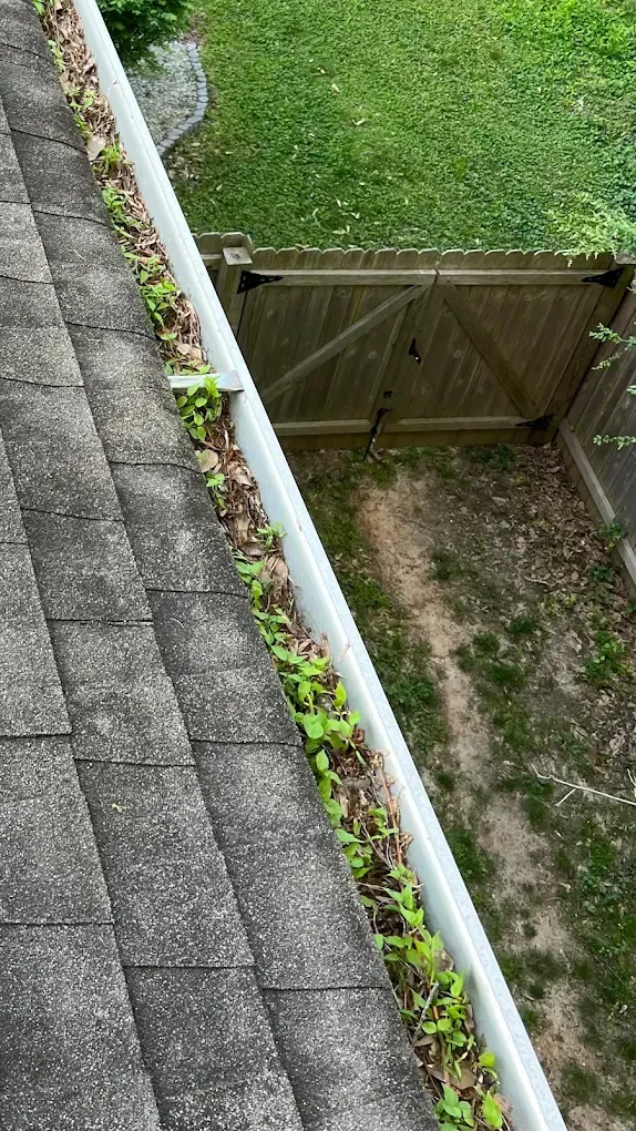 Overgrown gutter filled with leaves and small plants on a shingled roof, next to a backyard fence.