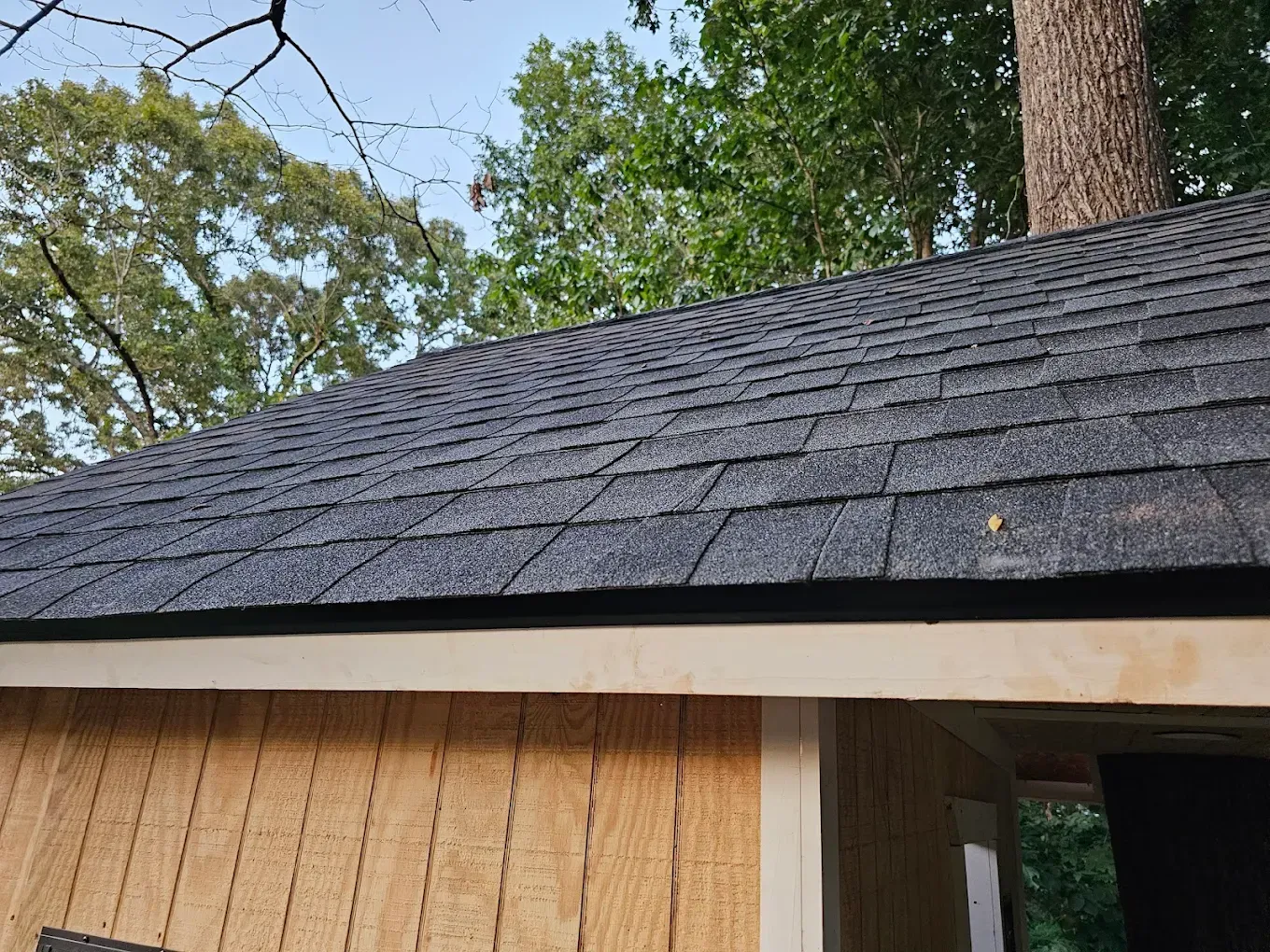 Wooden shed with dark asphalt shingle roof, tree in the background.
