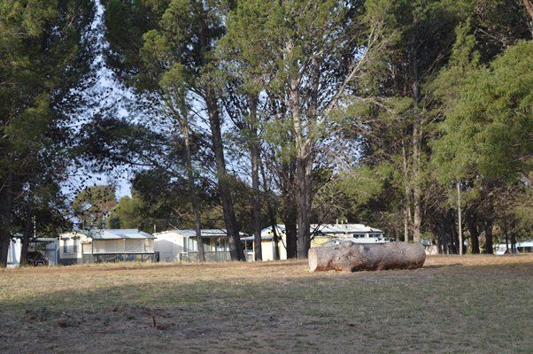 shady unpawered compound