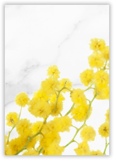 A bunch of yellow flowers on a white background.