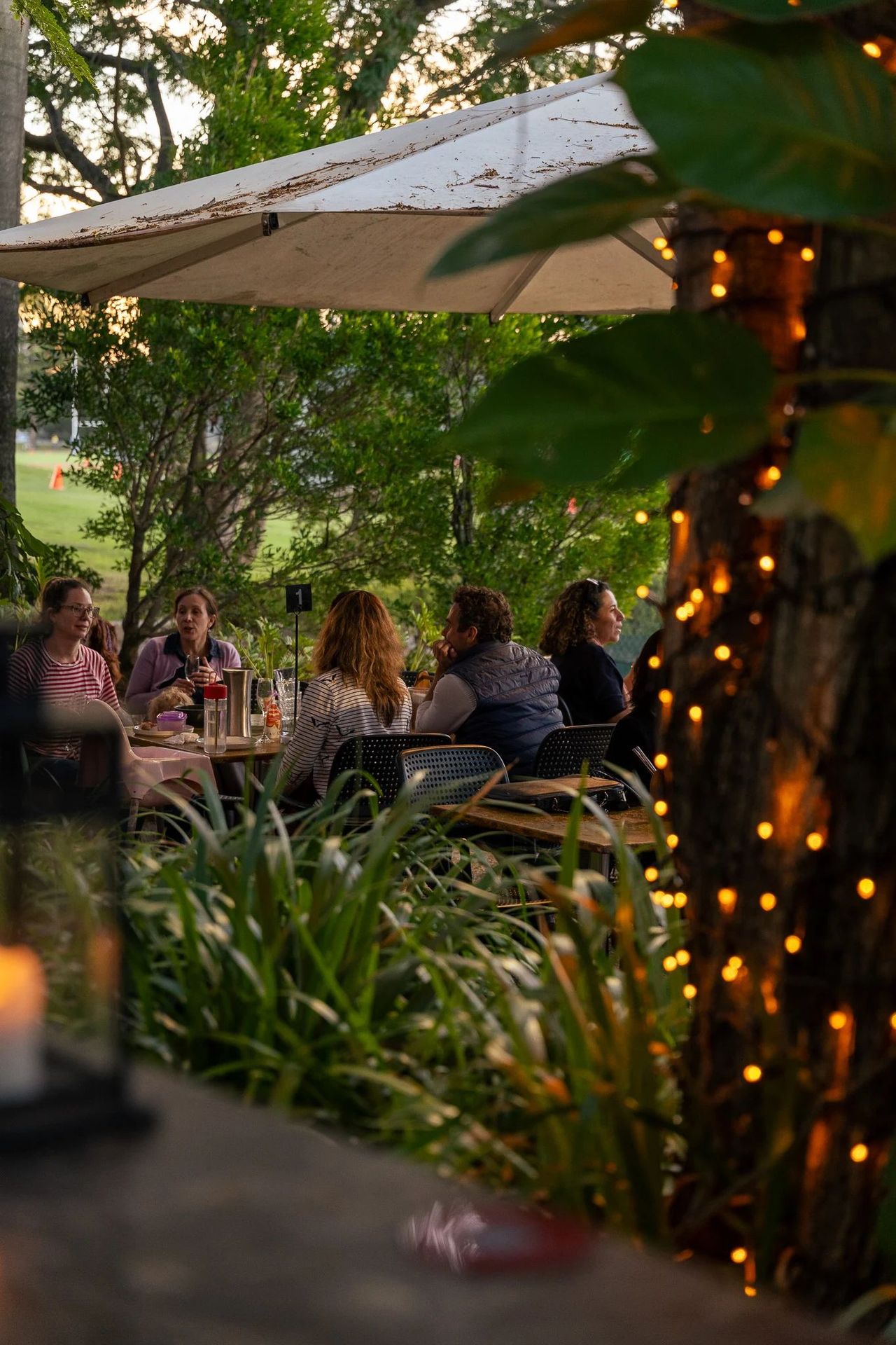 Garden terrace with festoon lights