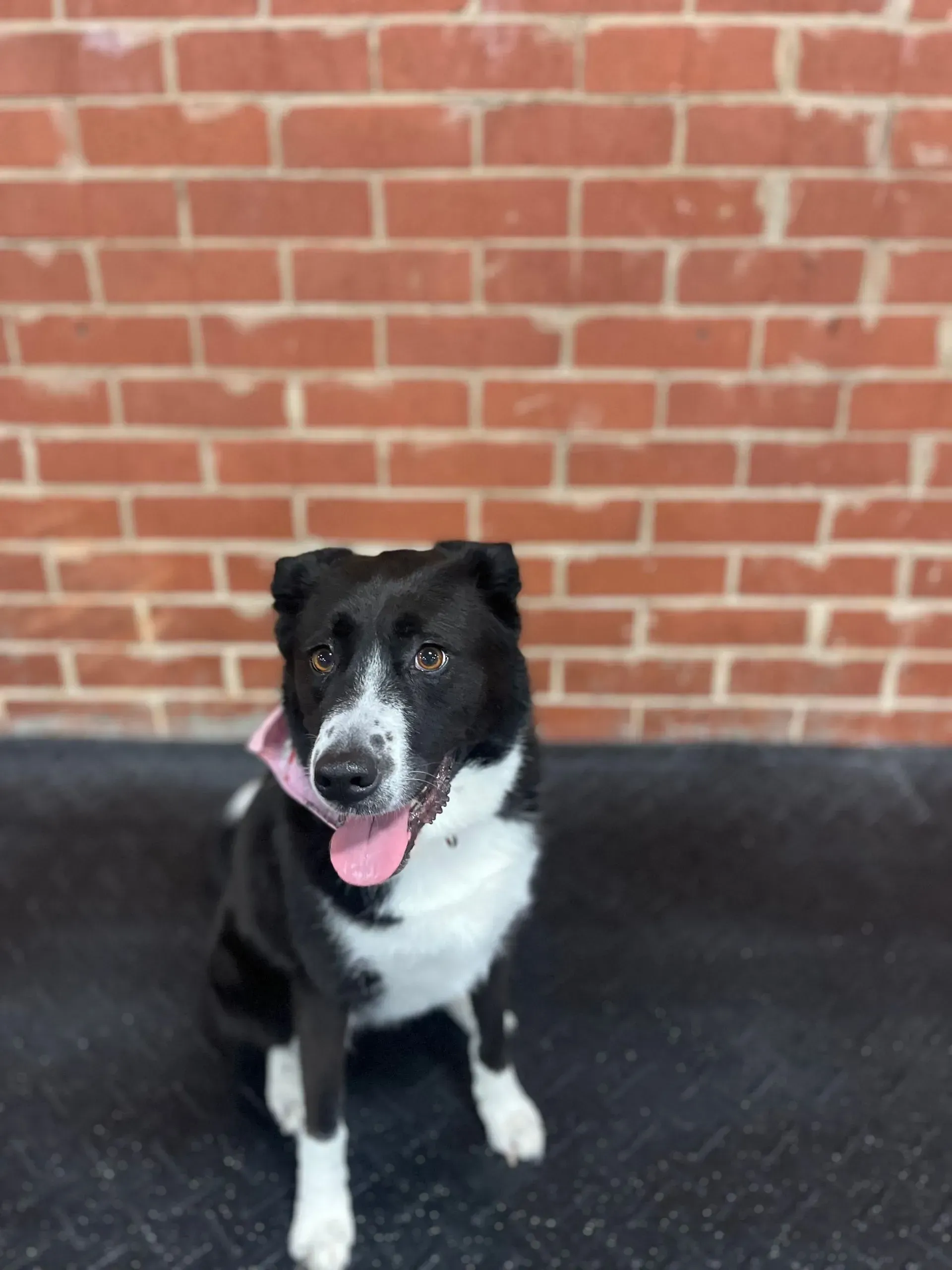 Zoey