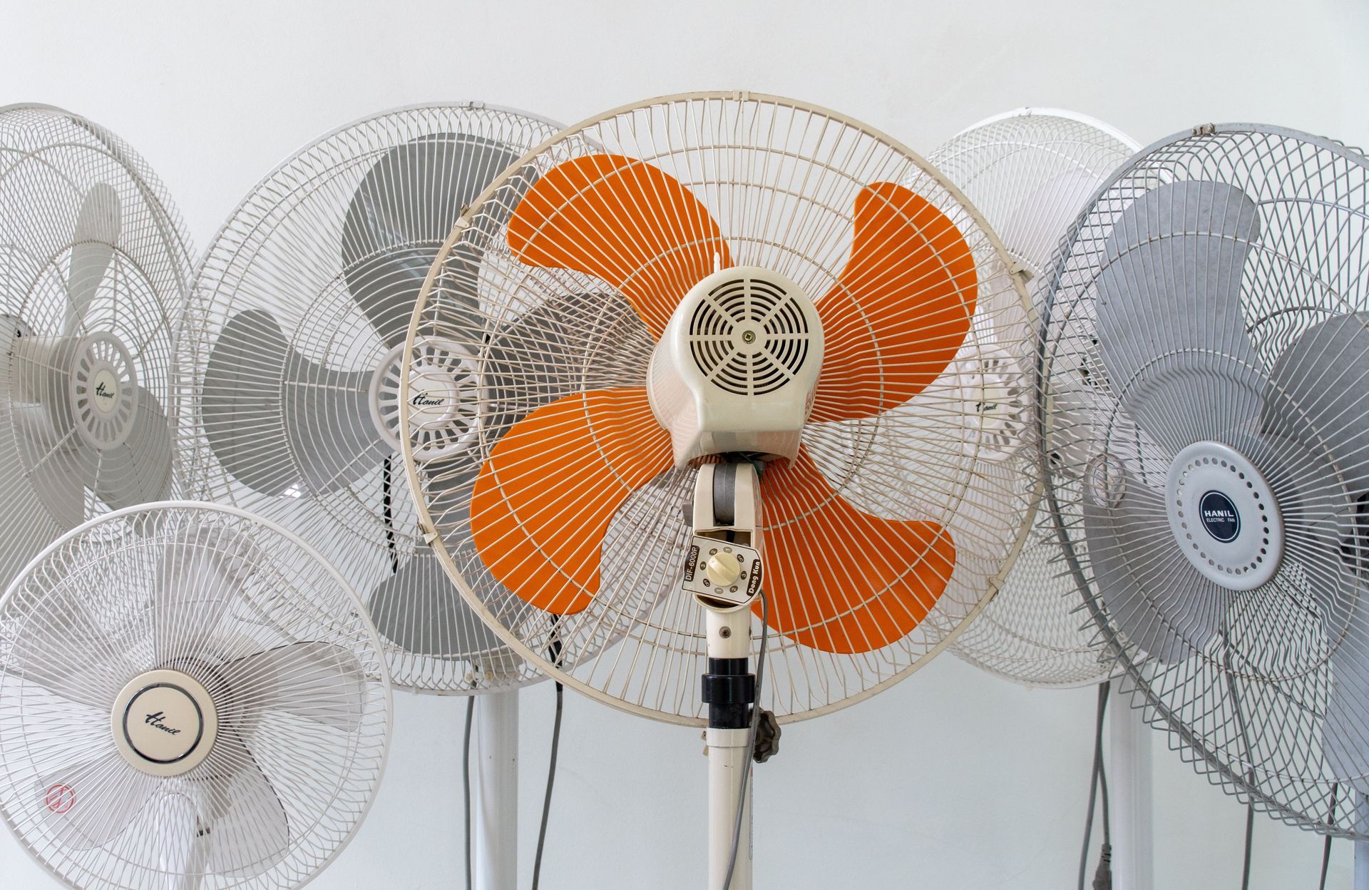 A row of standing fans, including one white fan with bright orange blades in the center.