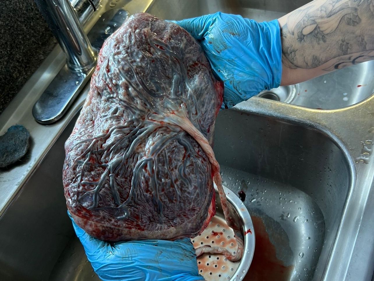 Birth and Postpartum doula in Winston-Salem, Home birth Doula in Winston-Salem, Night nanny in Winston-Salem