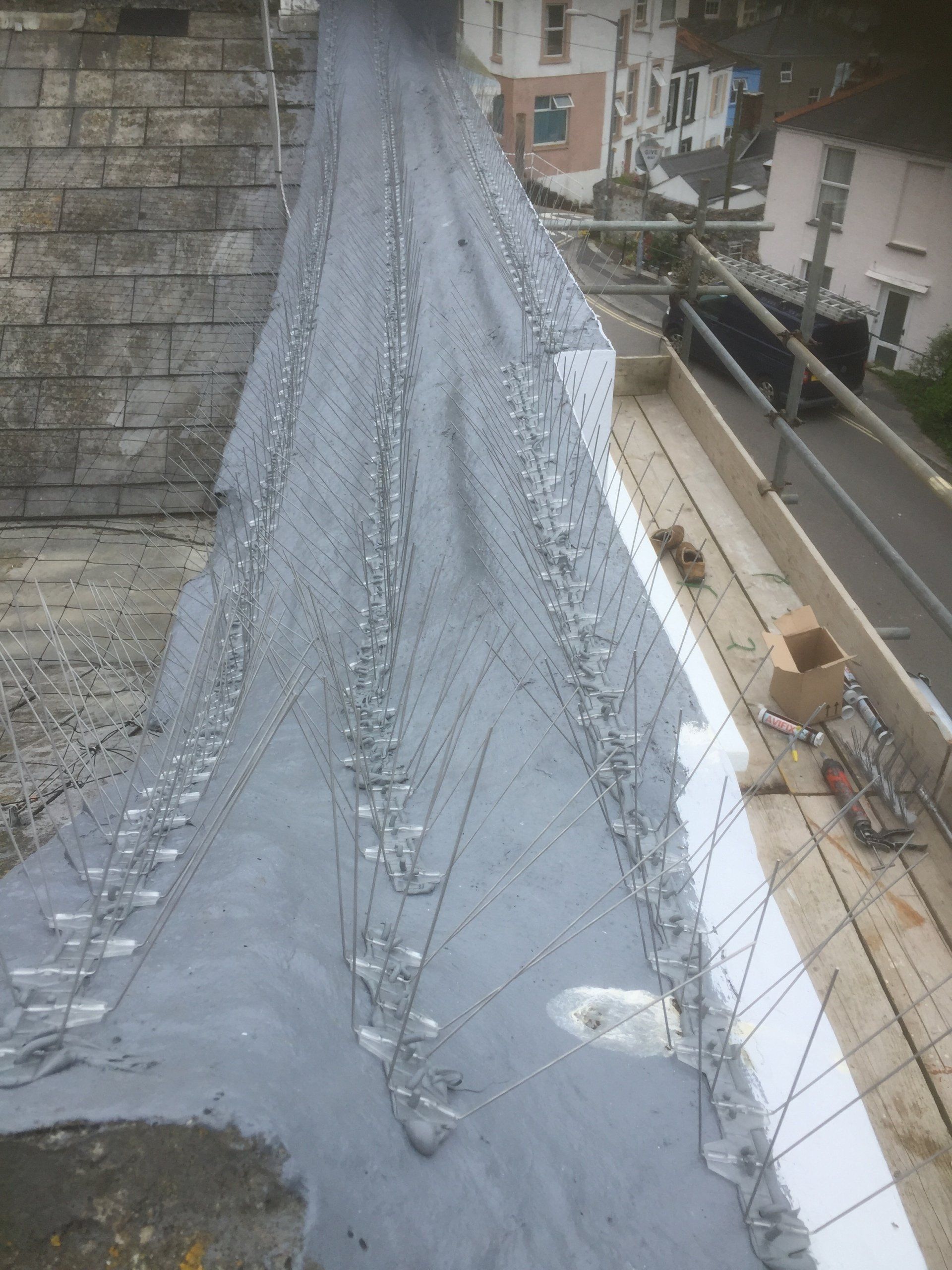 Parapet Wall Spikes