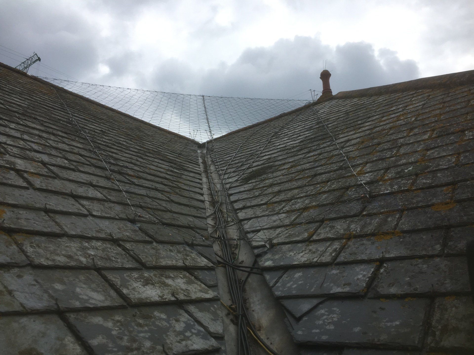 Roof Valley Netting