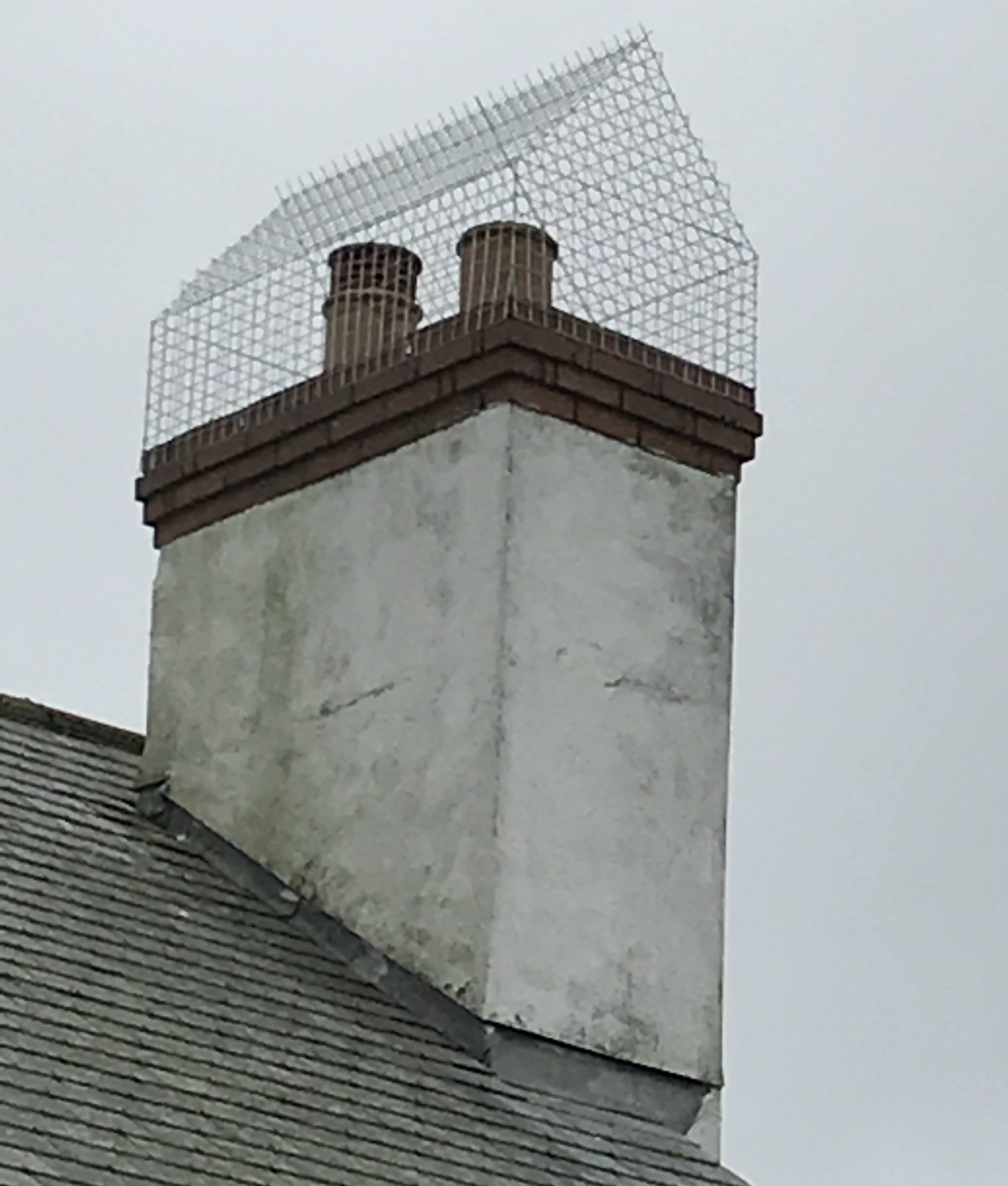 Chimney Cage