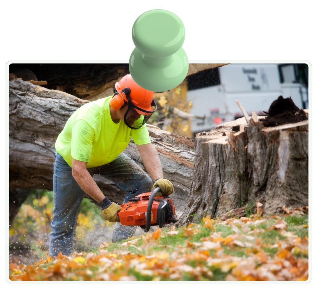Crews clearing storm debris and fallen limbs from driveway