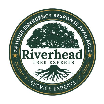 Tree service crew safely cutting fallen branch near home driveway