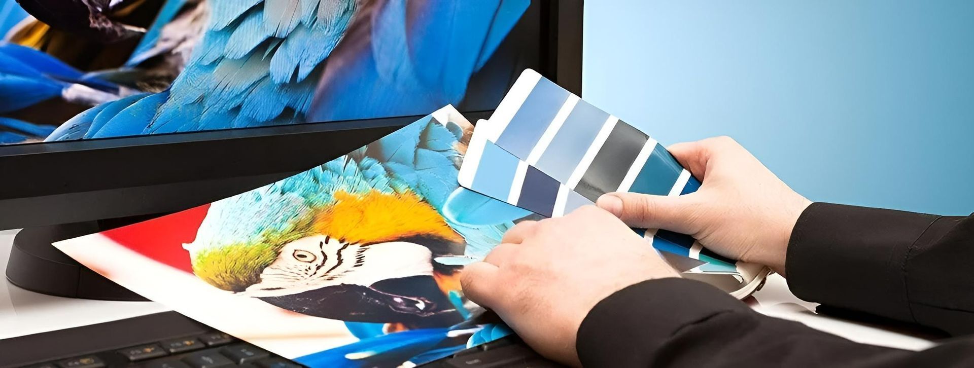 Person is Holding a Color Palette in Front of a Computer Screen — Copy That @ Profsec in Ballina, NSW