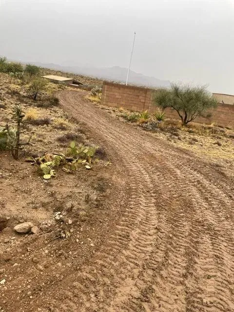 A dirt road in the middle of a desert with cactus growing on the side.