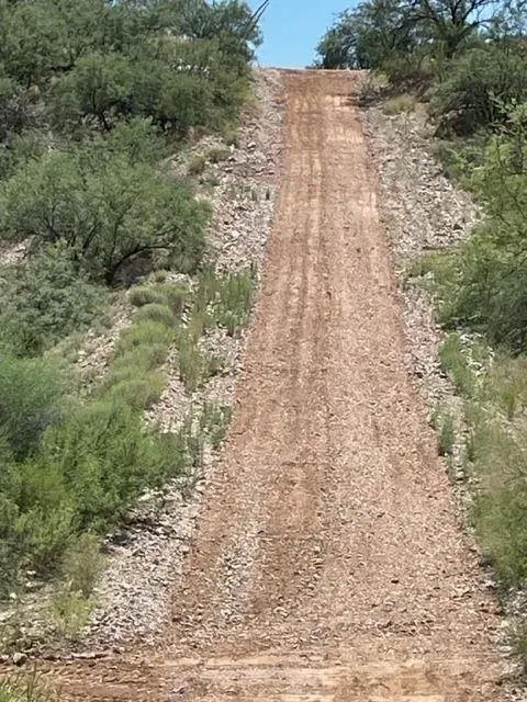 A dirt road going up a hill with trees on both sides