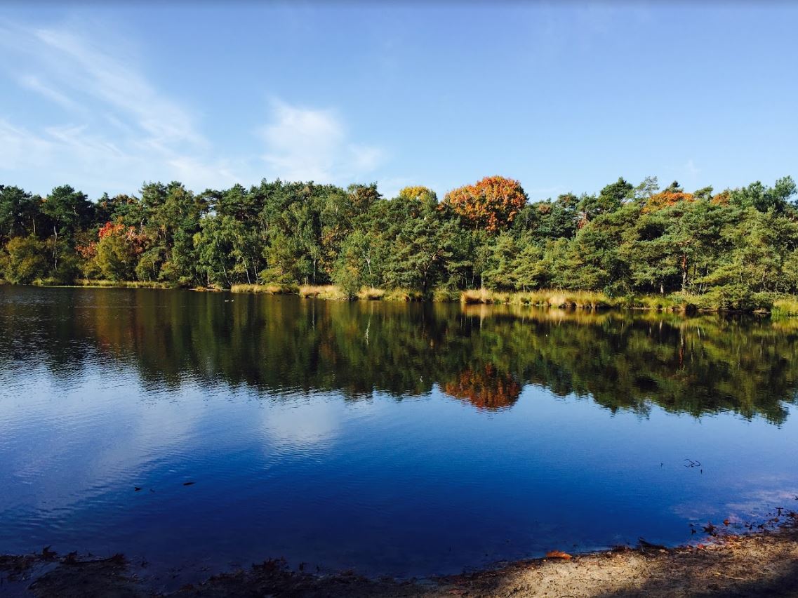 Groepsverblijf Brabant