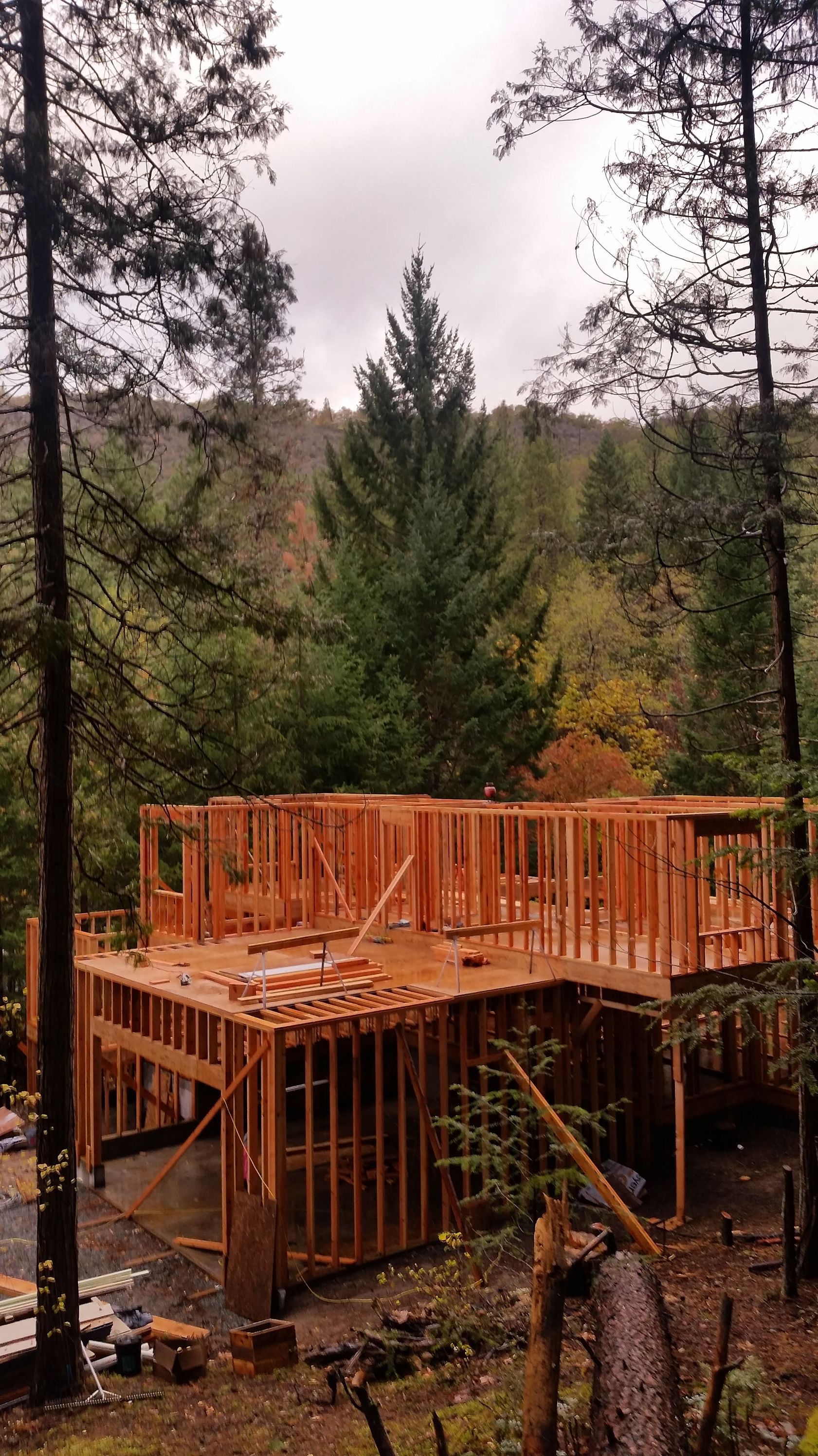 A group of people are sitting at tables in a restaurant.