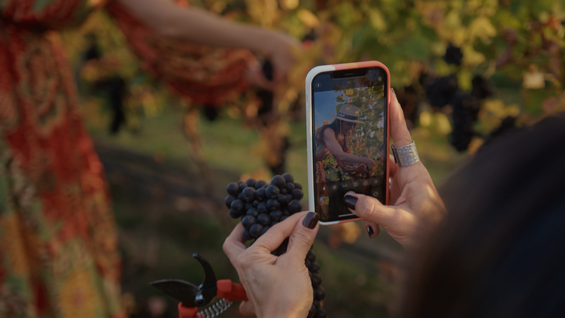 Uma mulher está tirando uma foto de um cacho de uvas com um celular.