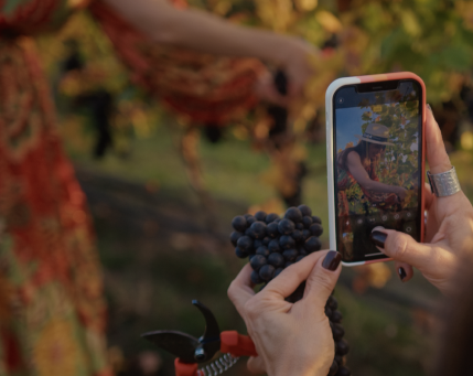 Uma mulher está tirando uma foto de um cacho de uvas com seu celular.