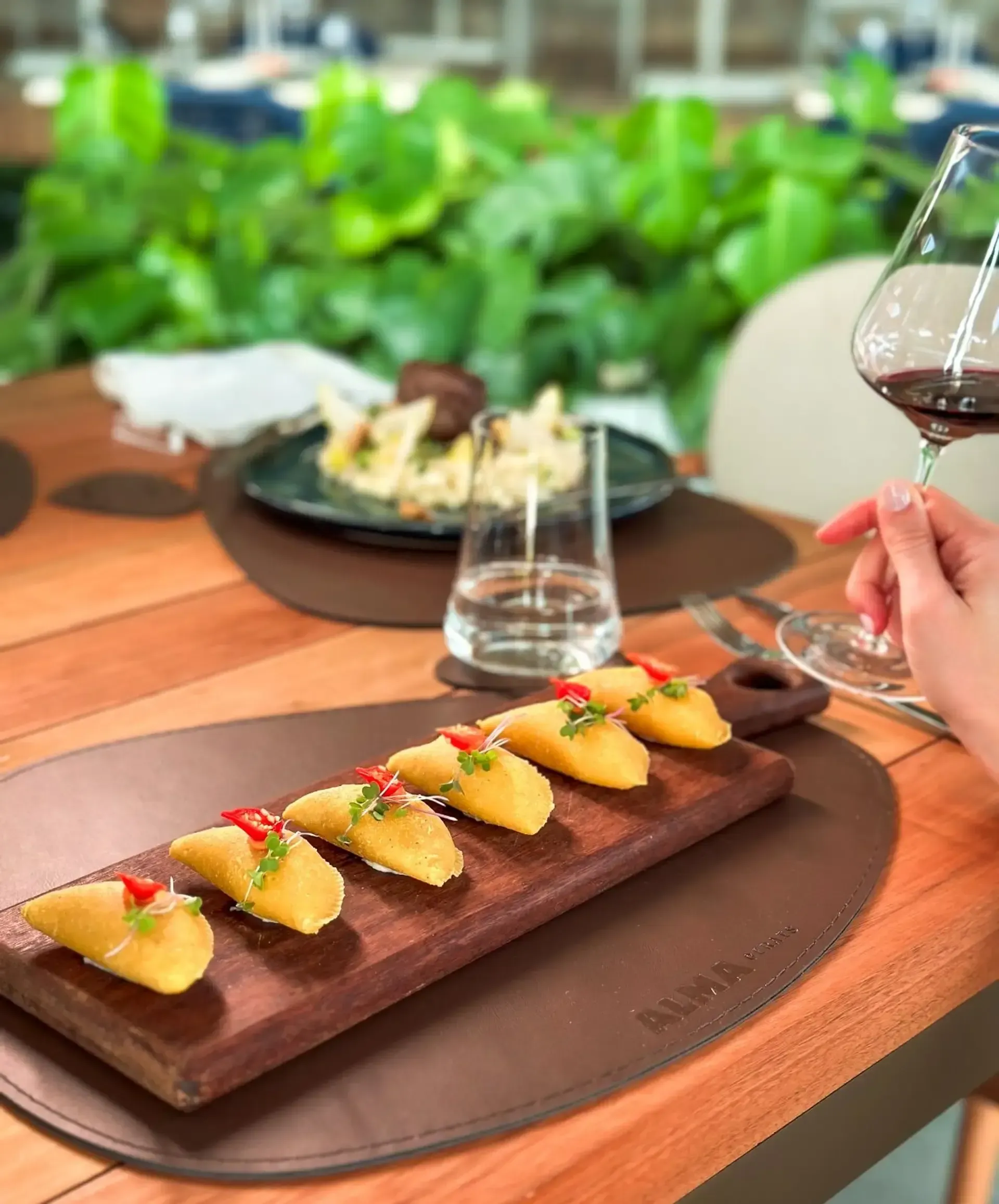 Tábua de madeira com seis empanadas, uma taça de vinho tinto e um fundo verdejante.