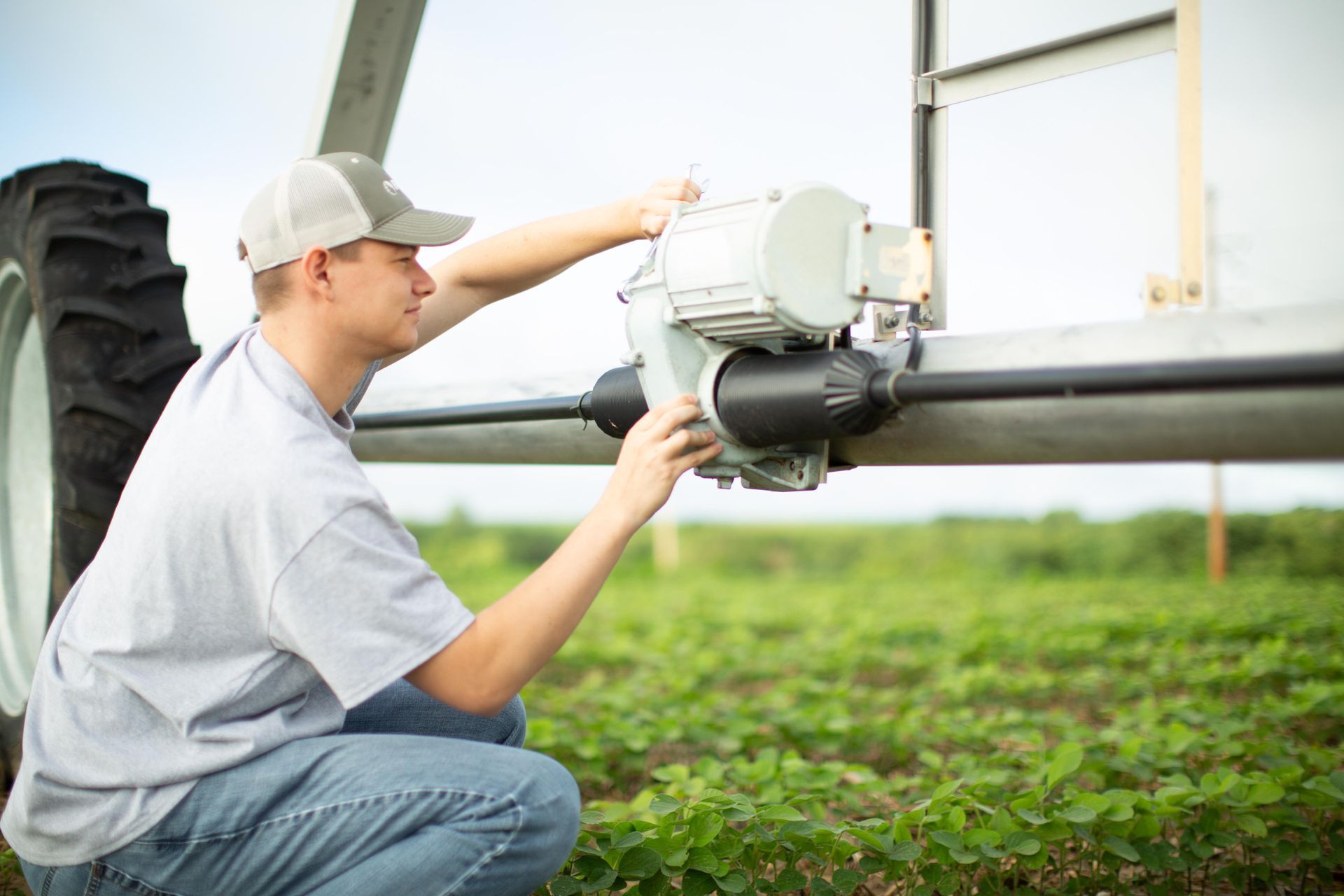 A tractor is spraying water on a field.