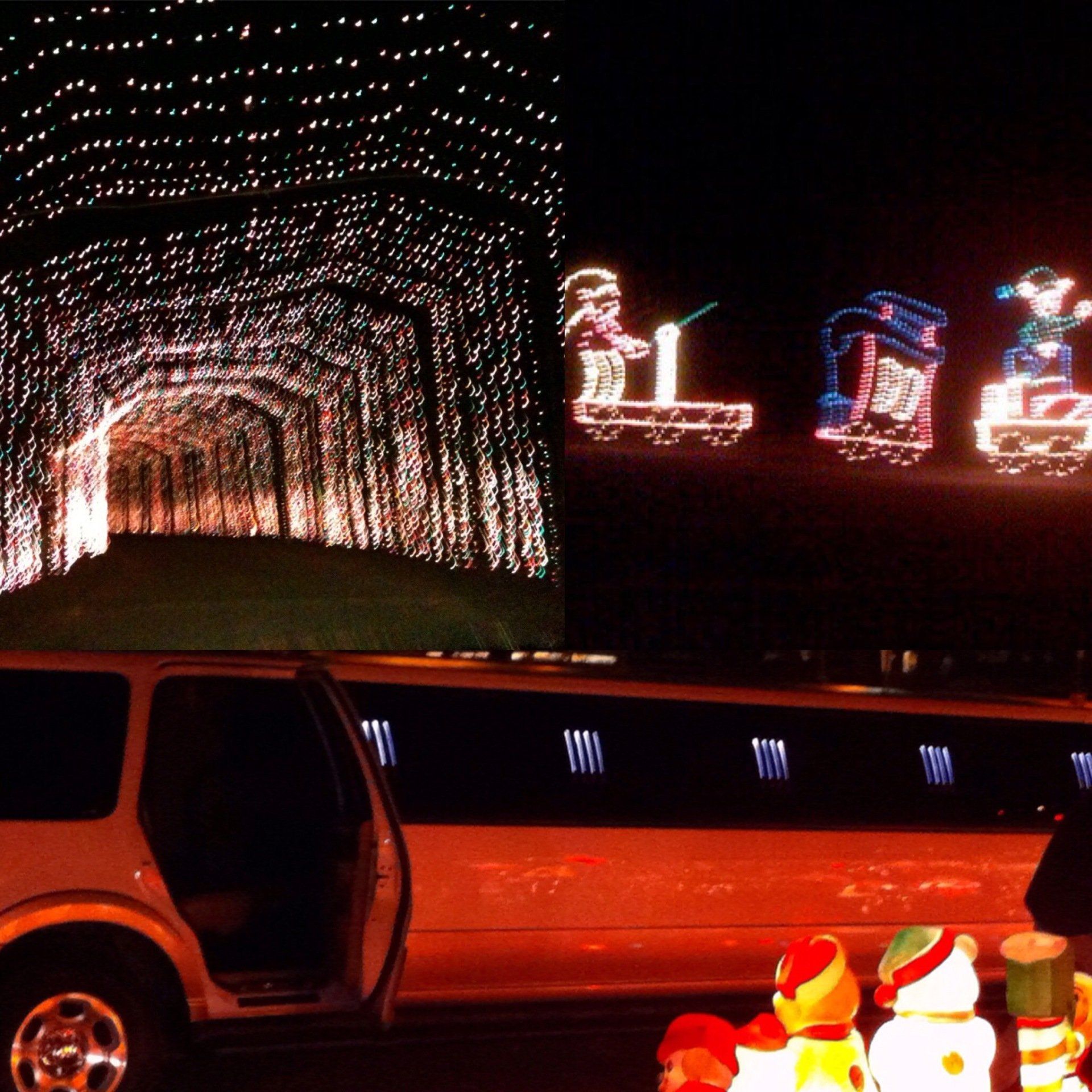 Christmas Light Tours In Waco TX / Nature In Lights tours