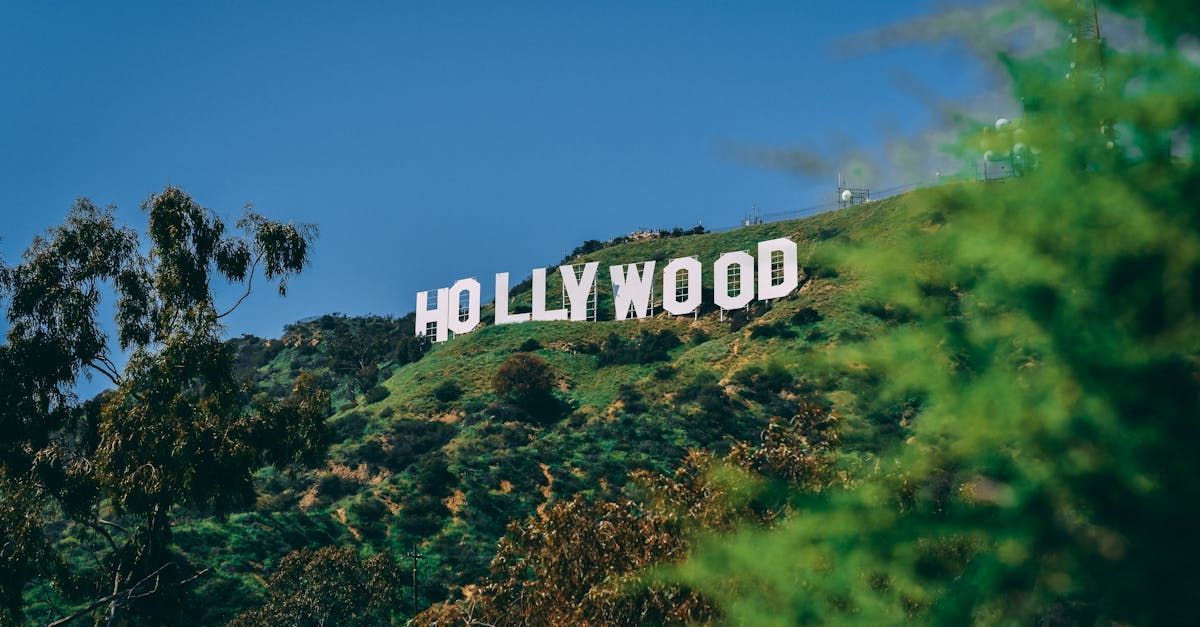 The hollywood sign is on top of a hill surrounded by trees.