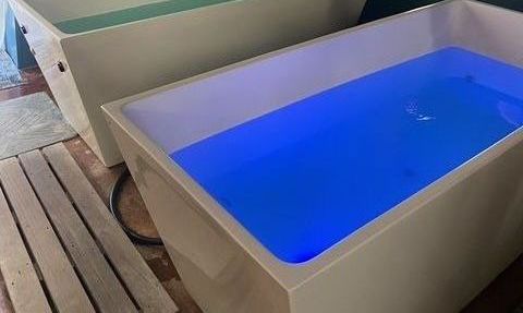 A bathroom with a sauna and a bathtub filled with water.